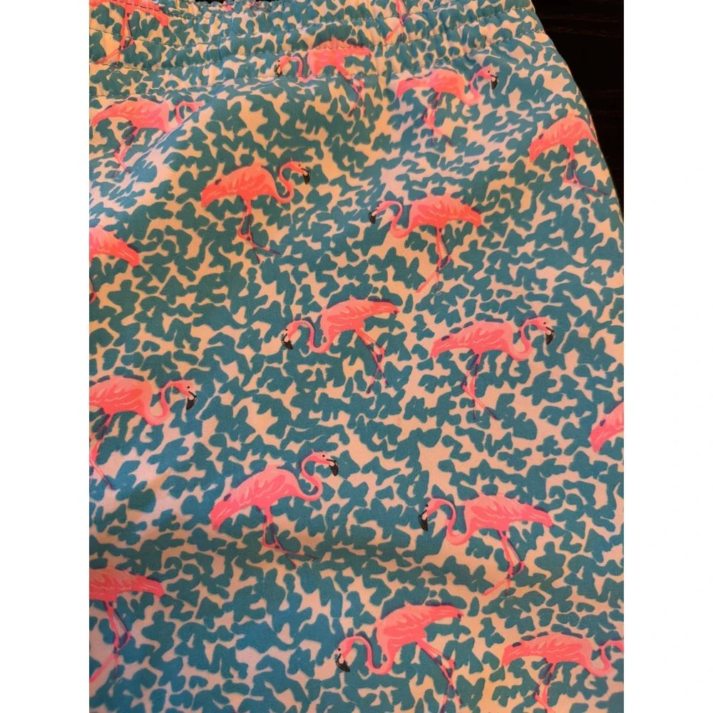 Chubbies Swim Trunks Blue Pink The Flamingos 5.5
